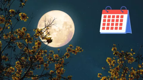 ¿Cuáles son los días del 2025 en el que se verá la Luna Llena desde Aguascalientes