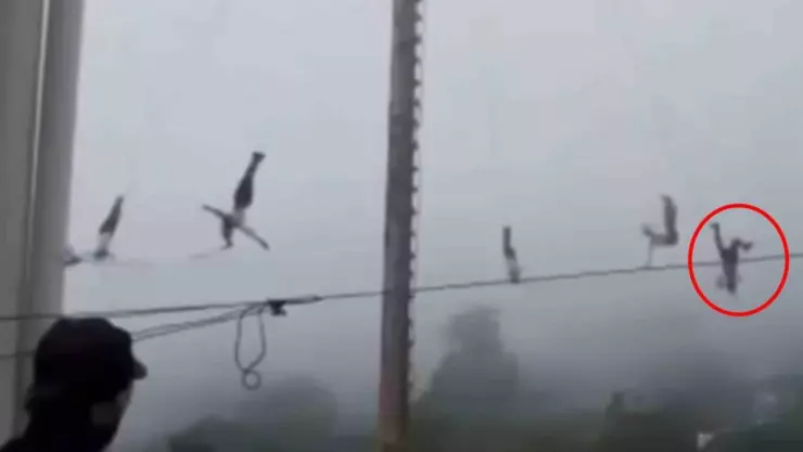 Volador de Papantla realiza su vuelo y cae