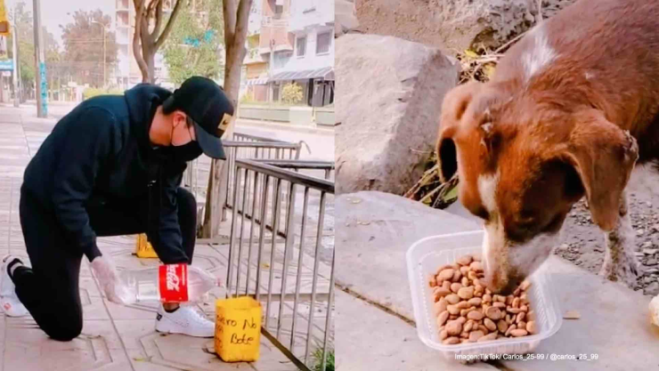 joven alimenta perros cuarentena.jpg