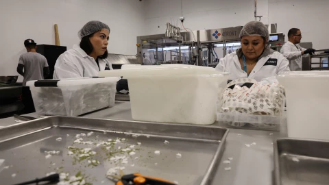 marihuana uso medicinal