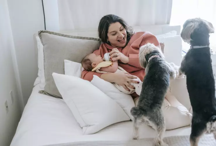 Cuál es el beneficio del vínculo entre bebés y perros