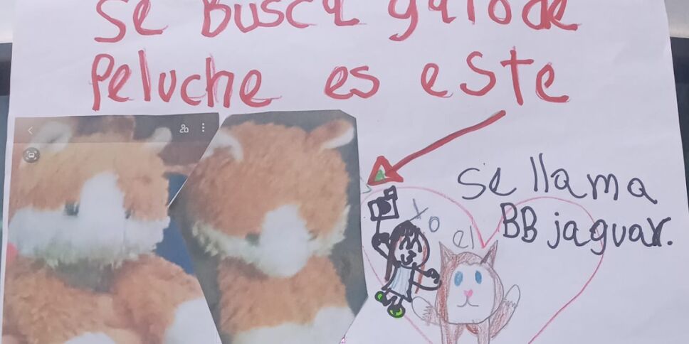 bb jaguar niña