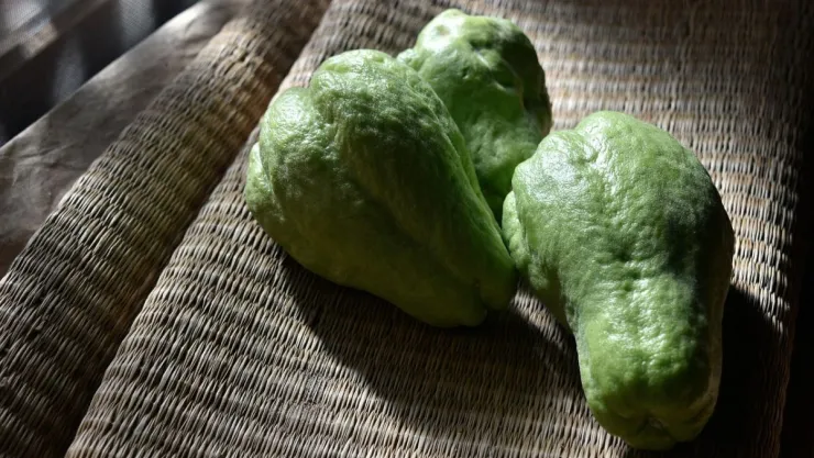 /cuerpo-y-cuidado/jugo-de-chayote-crudo-beneficios-cuerpo