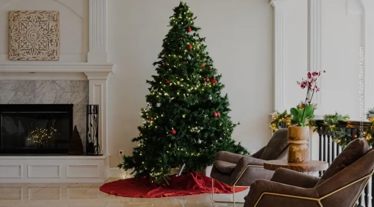 ¿Cómo podemos evitar accidentes con el arbolito de Navidad?