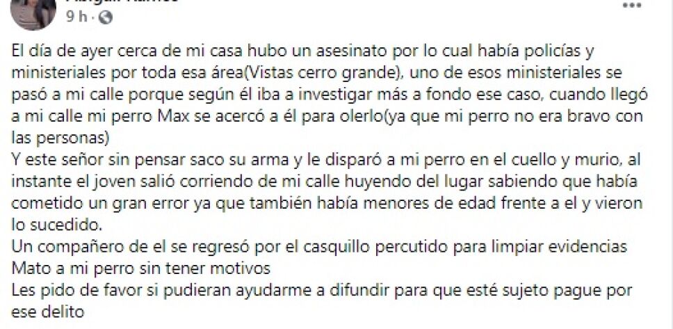 Policía mata de un tiro a “Max”, un perrito en Chihuahua.