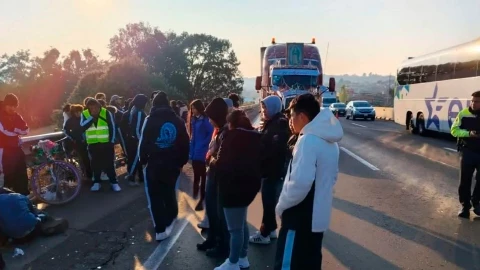 Peregrino atropellado