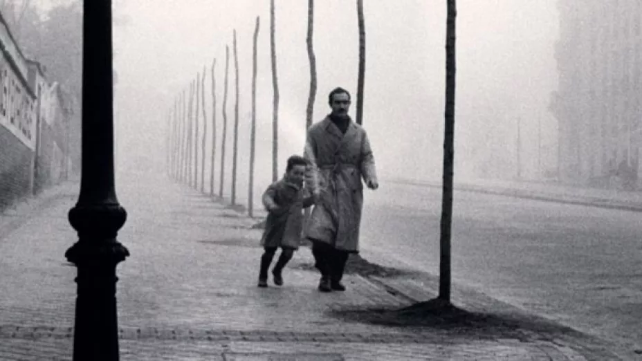 La sombra del viento