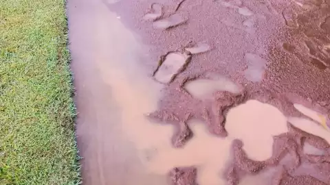 ÚLTIMO MOMENTO Juego de los Leones de Yucatán es SUSPENDIDO