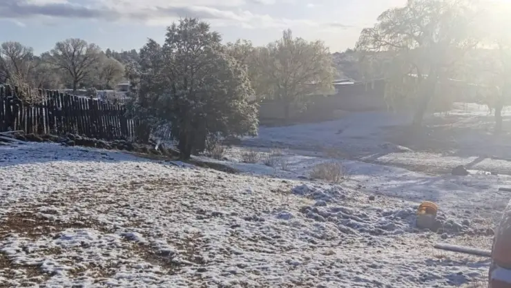 nevada en Madera