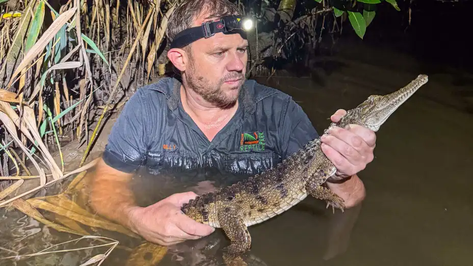 Australia Crocodile