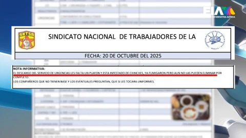 El Sindicato Nacional de Trabajadores de la Salud puso el dedo sobre la presencia de chinches en la sala de urgencias del Instituto Nacional de Neurología y Neurocirugía