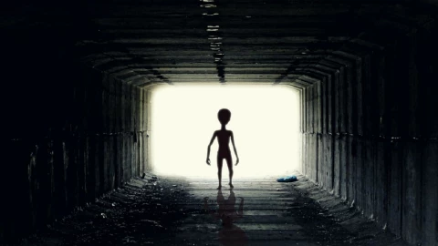 mhoni vidente predice la llegada de un alien 2023