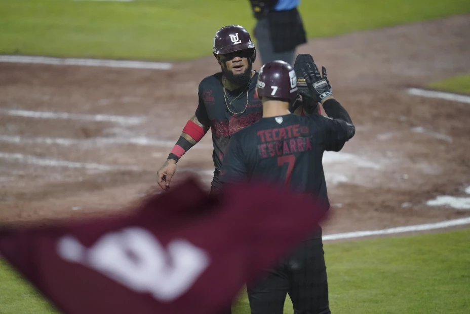 Algodoneros de Unión Laguna Pericos de Puebla LMB