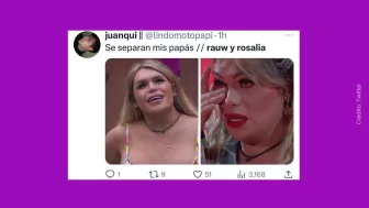 Memes Rauw y Rosalia (29).jpg