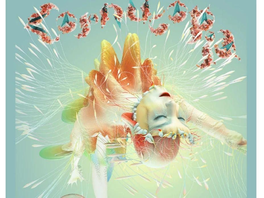 Cartel del concierto