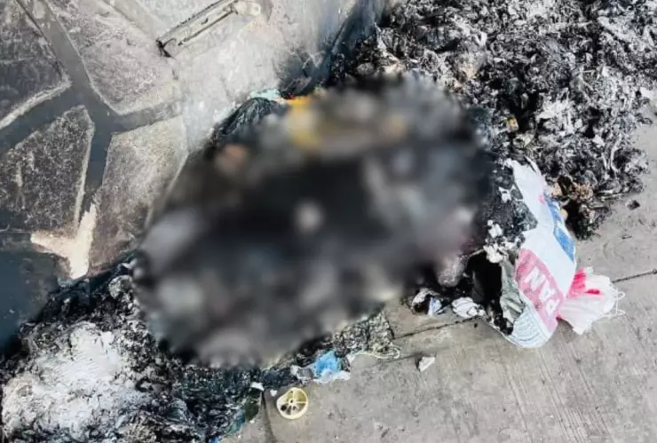 Presunta quema de perrito en Tlaxcala