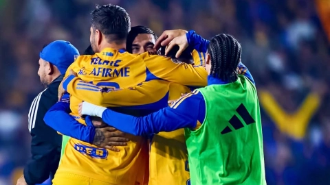 Tigres finalista