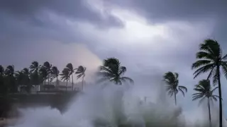 ¡Atención! A esta esta cruzará el frente frío 11 por Veracruz; dejará norte con rachas de hasta 100 km/h