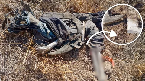 Encuentra hoy a Martha Molina en Cerro Coronel de Rosarito ¿Qué fue lo que pasó?