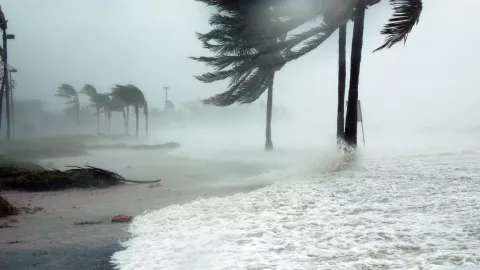 Temporada de Huracanes 2024 México.jpg