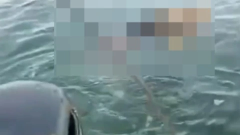 Hombre sin vida es hallado flotando en Chicxulub Puerto