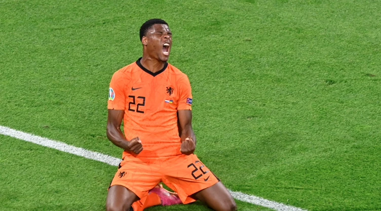 Geroginio Wijnaldum, selección de Holanda
