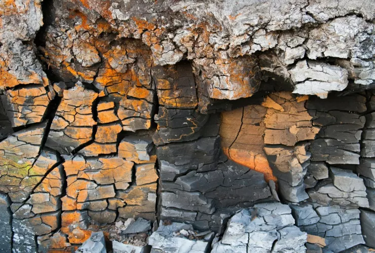 La falla geológica que causa grietas en calles de esta zona de Aguascalientes