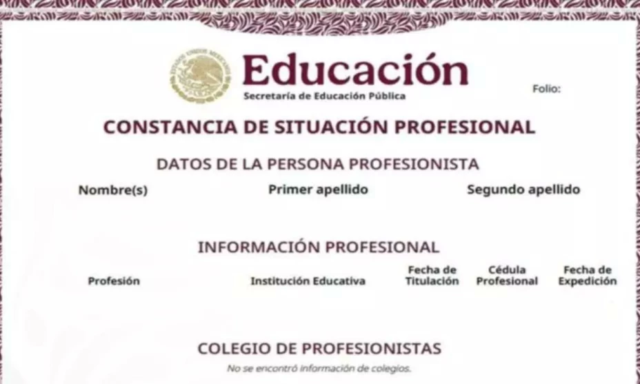 constanciasituacionprofesional.png
