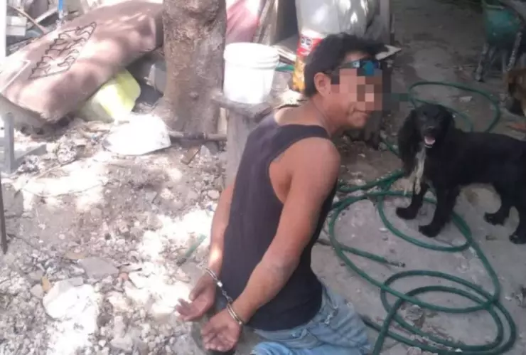 Arrestan a hombre por cocinar al gato de su vecino y hacerlo en guisos