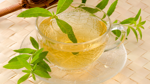 La infusión de Cedrón tiene muchos beneficios