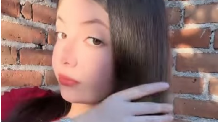 influencer tiktok nicholette instagram