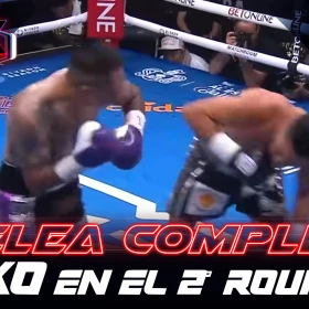 Pelea completa.jpg