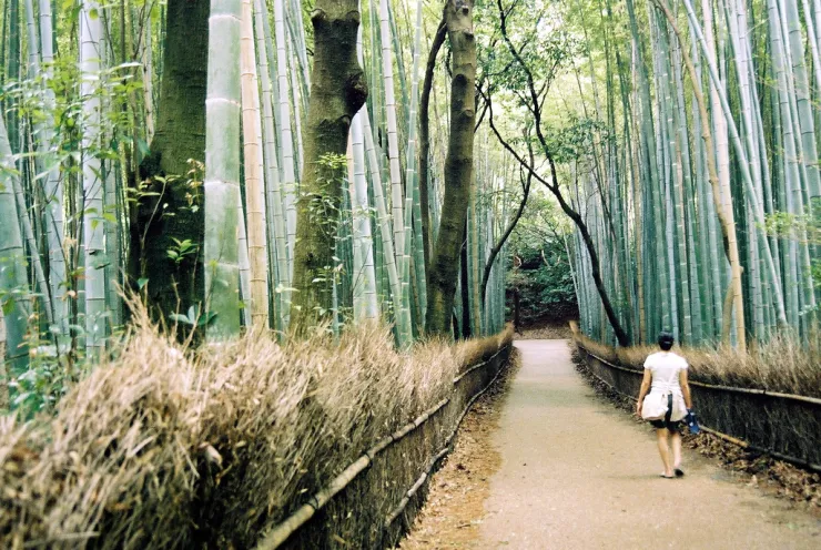 Japón sanar estrés