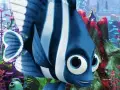 buscando-a-nemo