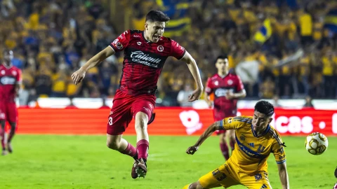 Xolos de Tijuana calusura 2026.png