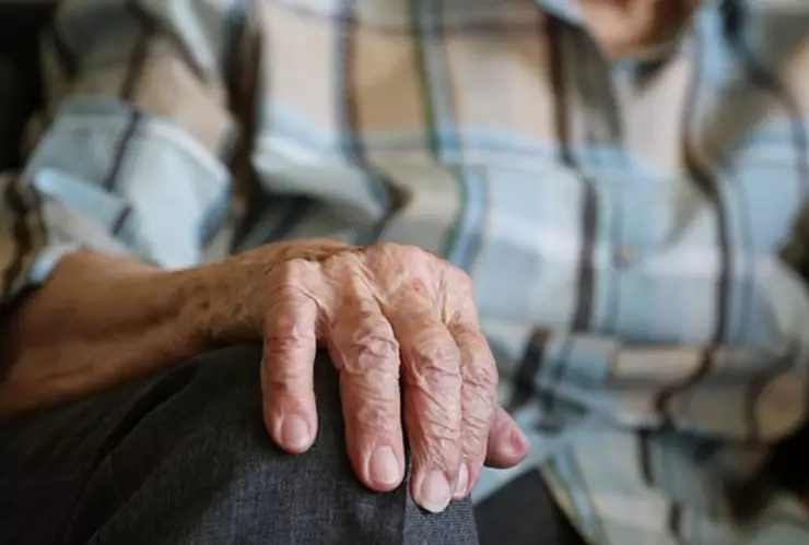 programa apoyo adultos mayores .jpg