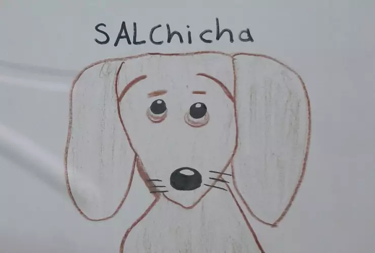 perro salchicha.jpg