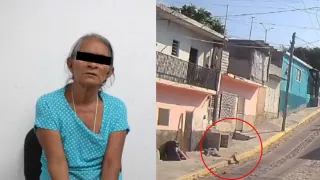 Mujer arrojó a un perrito en Chiapas