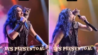 gato metalero video concierto.png