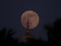 Se llama Luna de sangre porque la luz del Sol pasa por la atmósfera de la Tierra en su camino hacia la Luna y la atmósfera de la Tierra la vuelve roja de la misma forma en que cuando el Sol se escond