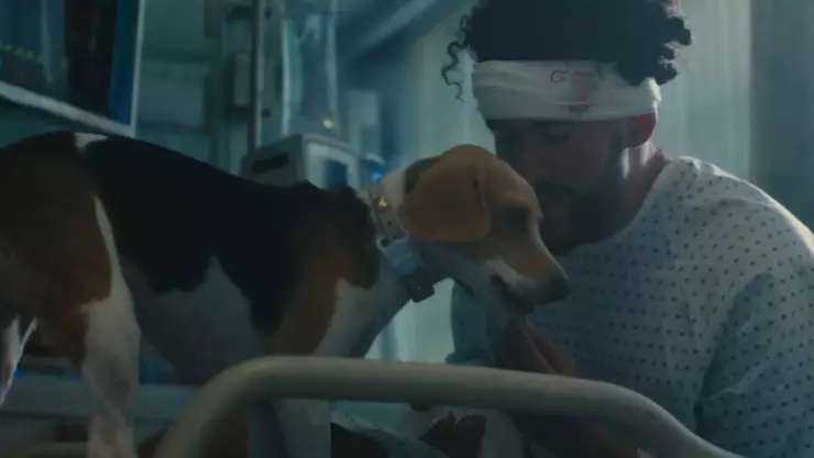 bad bunny dedica video perrito