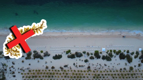 Playas libres de sargazo en Quintana Roo HOY 1 de septiembre de 2025_ Lista desde Holbox, Cancún, Tulum a Xcalak.jpg