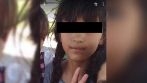 Angelie Chihuahua.jpg