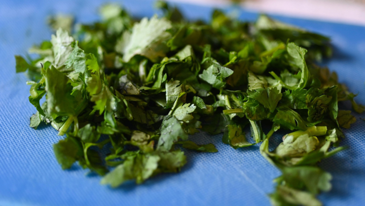 Alza en el precio del cilantro