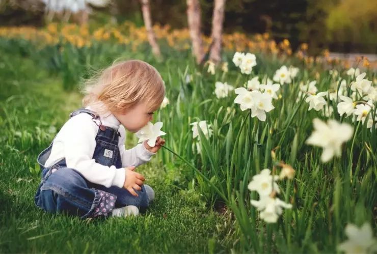 Recuperacion olfato COVID-19.jpg