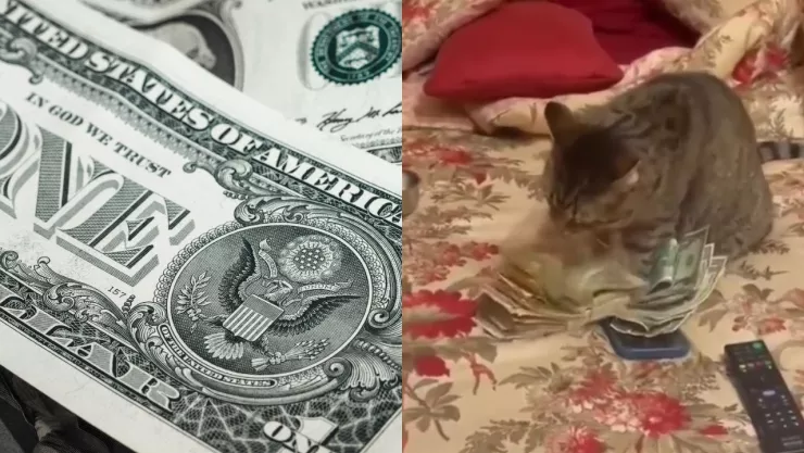 ¡Súper peso a la vista! Este es el precio del dólar hoy 27 de septiembre de 2024 en Jalisco