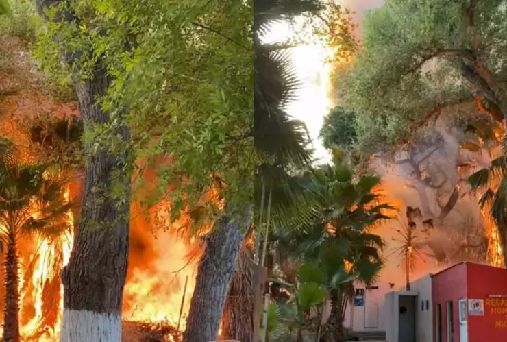 Los Filtros Chihuahua