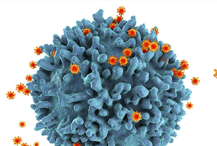 Día Mundial del Sida 2022: Diferencias entre el VIH y el Sida