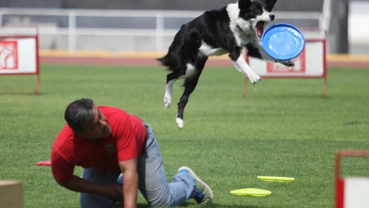 Unidad Canina de la Policía Federal cumple 30 años de servicio