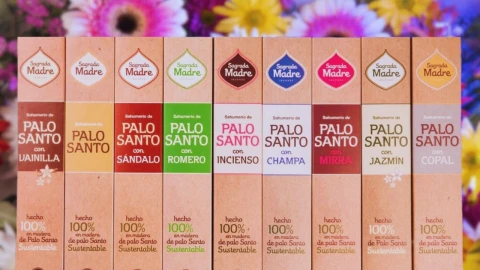 Aromas de inciensos que te ayudan a atraer abundancia y dinero